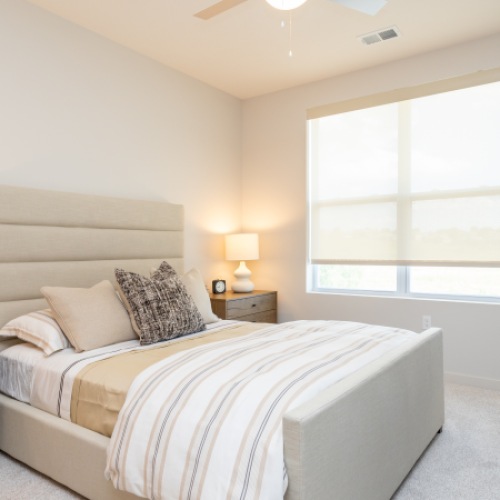 Bedroom with Natural Lighting Bedroom with Natural Lighting